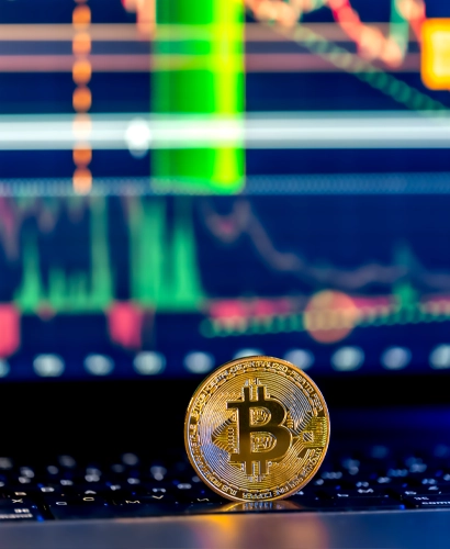 Puro Bitline Informazioni sul Trading